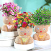 Figure Plants - Lær å ta vare på planter - Morsom dekorasjon med planter