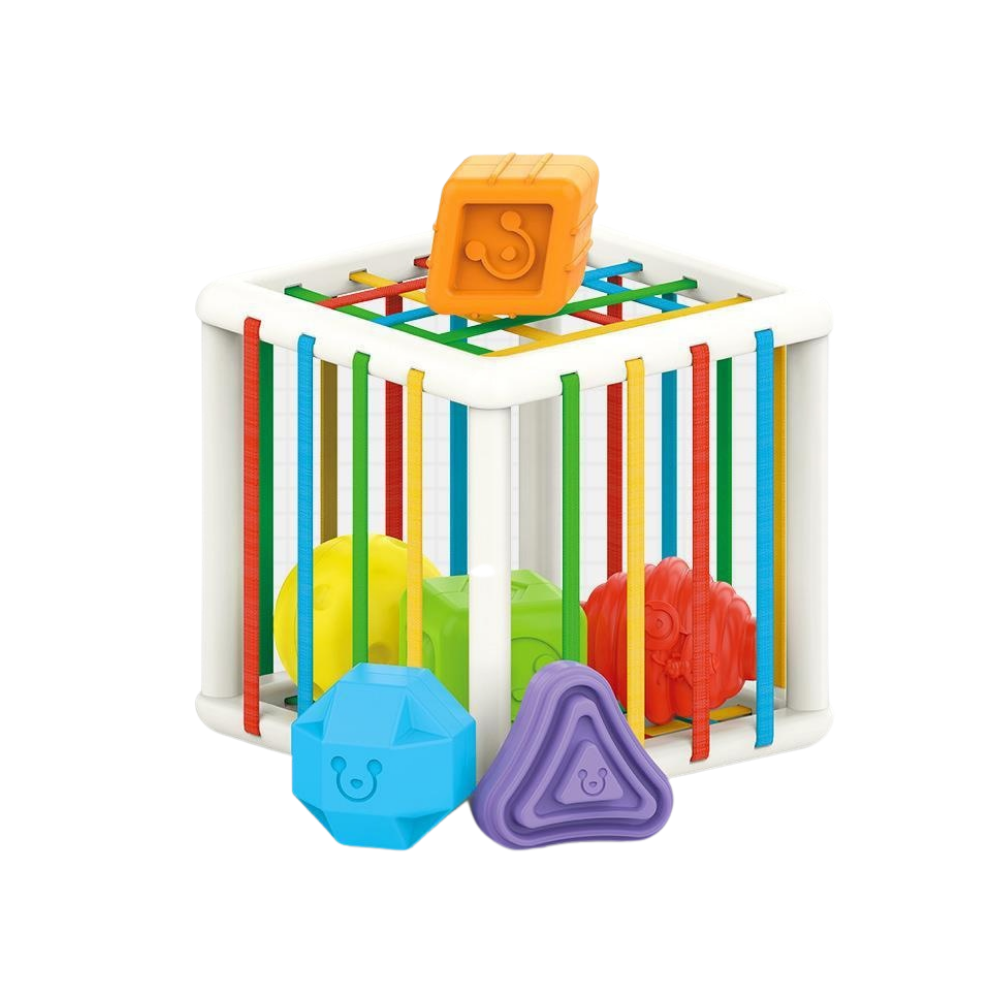 Sorting Cube™ - Sorteringskube - Pedagogisk kube