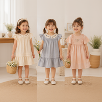 Thumbnail for Short Sleeve Embroidery Dress – Elegant og komfortabel – boutique-jente kjole