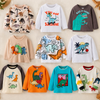 Kids Dinosaur Sweatshirt – Komfort og stil – Dino barnegenser