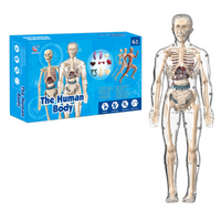 Thumbnail for Human Anatomy – Lære og oppdage – Modellkit av menneskekroppen
