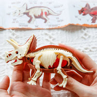 Thumbnail for DinoDig – Spennende og lærerikt – Fossilutgravingssett