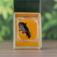 Thumbnail for Bug Catcher with Magnifier – Oppdagende & lærerikt – Insektfanger