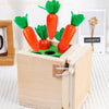 Smart Carrots –  Farger og former - Sorteringsleker i tre