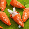 Personalized Bunny – Den perfekte påskegaven – Plysjkanin med navn