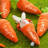 Thumbnail for Personalized Bunny – Den perfekte påskegaven – Plysjkanin med navn