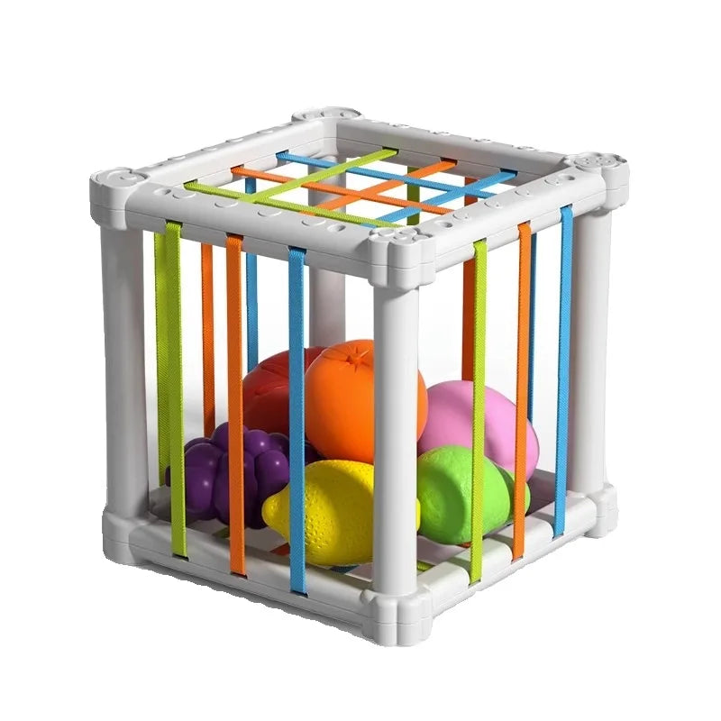Fruit Box - Klipp, lek, lær - Frukt i eske