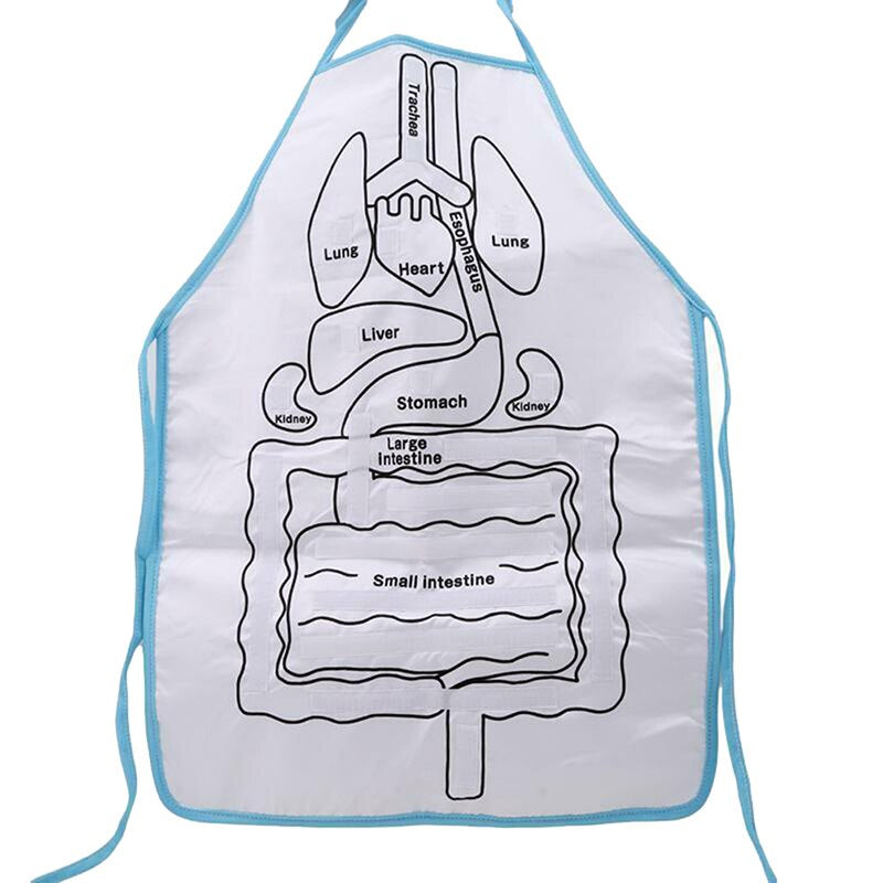 Anatomy Apron™ | Utforsk kroppen på en interaktiv måte - forkle med menneskelig anatomi