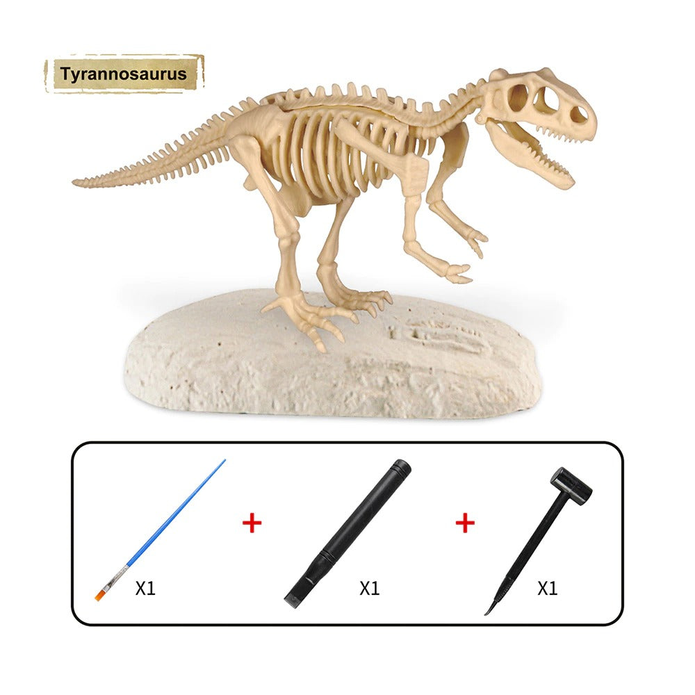 Dino Fossil™ - Grav frem fossiler - Arkeologsett